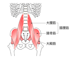 大腰筋